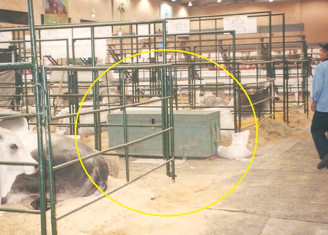 Baúl aperos 13 aperos del bales feria cofre los recuerdos ganadera baúles implemento para feria exposición implementos agrícolas ferias y exposiciones ferias agroindustrial baúles el recuerdo feria ganadera caja-Baúl madera Corrales plásticos Maderplast los más fuertes, no es pudren, no se oxidan, no se rompen, no maltratan el ganado, corrales e instalaciones para ganadería tecnificadas, estabulación de ganados en corralejas ecológicas, las nuevas tecnologías de los nuevos materiales, para las faenas ganaderas, ganadería intensiva, ganaderías extensivas con infraestructuras para faenado de ganado, implementos agrícolas, elementos para la recolección transporte movilización del sector agropecuario, carros carrozas recolectores de cosechas carretas contrapuerta compuerta llavero de paso de ganado quiebra patas