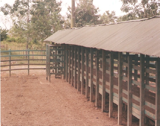 calceta o manga 60 Brete para ganado techo apartar seleccionar el ganado acceso ganadera corrales embudos calcetas embudo muro estribo corrales embudo calceta bretes brete apretadero mecánico instalaciones