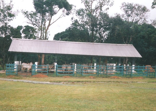corral estabulado 15 corral redondo exposiciones ganaderas engorde corrales construcción corralejas para ganado exposiciones comerciales corrales de negocios manejo ganado en corral redondo o picadero corraleja sistema estabulado en encierros de estabulación tecnificados Corrales plásticos Maderplast los más fuertes, no es pudren, apriscos de estabulación tecnificados, no se oxidan, no se rompen, no maltratan el ganado, corrales e instalaciones para ganadería tecnificadas, estabulación de ganados en corralejas ecológicas, las nuevas tecnologías de los nuevos materiales, para las faenas ganaderas, ganadería intensiva, ganaderías extensivas con infraestructuras para faenado de ganado, implementos agrícolas, elementos para la recolección transporte movilización del sector agropecuario, carros carrozas recolectores de cosechas carretas contrapuerta compuerta llavero de paso de ganado quiebra patas sistema estabulado en corrales de estabulación tecnificados
