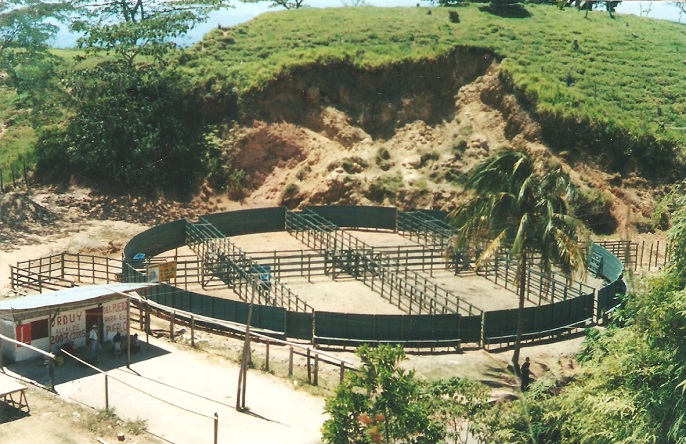 corral exposición 16 corral redondo exposiciones ganaderas engorde corrales construcción corralejas para ganado exposiciones comerciales corrales de negocios manejo ganado en corral redondo o picadero corraleja