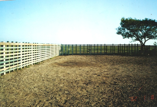 corral llanero 20 corraleja grande corrales fuertes corralejas para ganado del llano fincas corrales trabajo corrales plásticos corrales madera corral hierro corraleja cemento guadua tubos en corral plantas