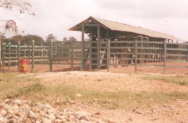Corral tapado techo 14 corral redondo exposiciones ganaderas engorde corrales construcción corralejas para ganado exposiciones comerciales corrales de negocios manejo ganado en corral redondo o picadero corraleja. Corral tapado techo 14 corral redondo exposiciones ganaderas engorde corrales construcción corralejas para ganado exposiciones comerciales corrales de negocios manejo ganado en corral redondo o picadero corraleja.