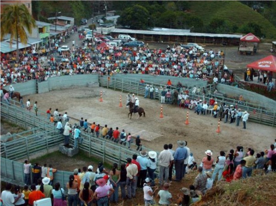 plaza toros 11 corrida de toros toreo monumental plazas ruedos toro corridas feria remate exposición plaza novilleros matadores lidia corrida ferias mataderos subasta central ganadera subastas ganaderas ferias