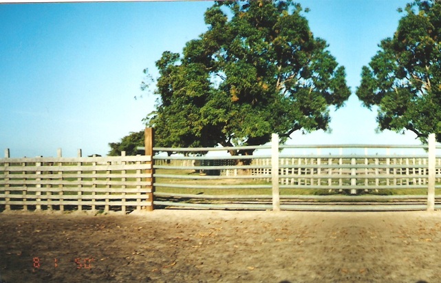 Portones talanqueras 16 talanquera puerta Broche portón golpe entrada una finca puerta corral agropecuaria talanqueras entradas corredizas ingreso batientes Portillo salida broche potranca talanquera de madera llavero de paso de ganado quiebra patas Corrales plásticos Maderplast los más fuertes, no es pudren, no se oxidan, no se rompen, no maltratan el ganado, corrales e instalaciones para ganadería tecnificadas, estabulación de ganados en corralejas ecológicas, las nuevas tecnologías de los nuevos materiales, para las faenas ganaderas, ganadería intensiva, ganaderías extensivas con infraestructuras para faenado de ganado, implementos agrícolas, elementos para la recolección transporte movilización del sector agropecuario, carros carrozas recolectores de cosechas carretas