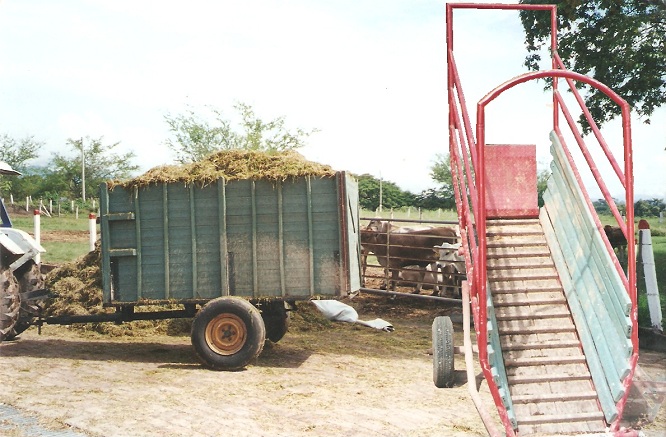 remolques agrícolas 38 cisternas plataformas plástico maderplast galera esparcidores de estiércol remolque esparcidor plataformas remolcador para transporte agrícola basculante plataformas o zorra ganado
